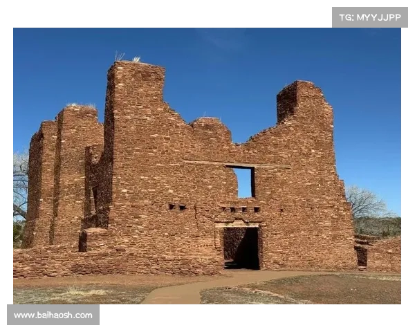 五大伊瓦尔德废墟探索必看亮点与秘境揭示