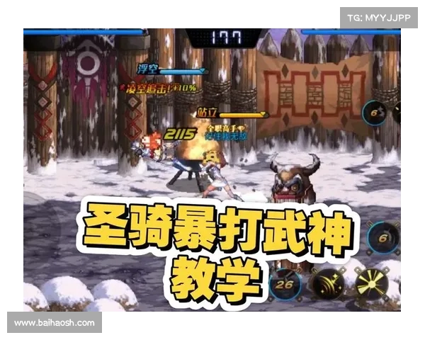 DNF圣骑士加点技巧全面解析提升输出与防御的最佳方案