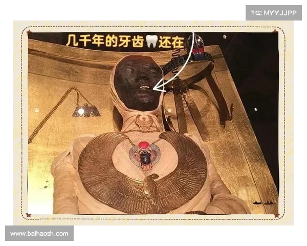 探索恐怖先祖的秘密一步步揭开神秘面纱的实用指南