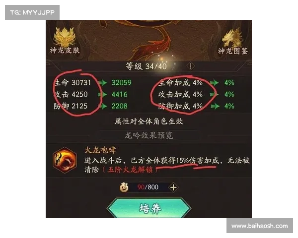 神仙道霸者宝石使用技巧全解析助你快速提升战力与策略运用 神仙道霸者宝石使用技巧全解析助你快速提升战力与策略运用